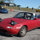 Illustration for article titled Miatas At A Race Track Multiply Worse Than Rabbits